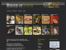 Tablet Screenshot of birder.se